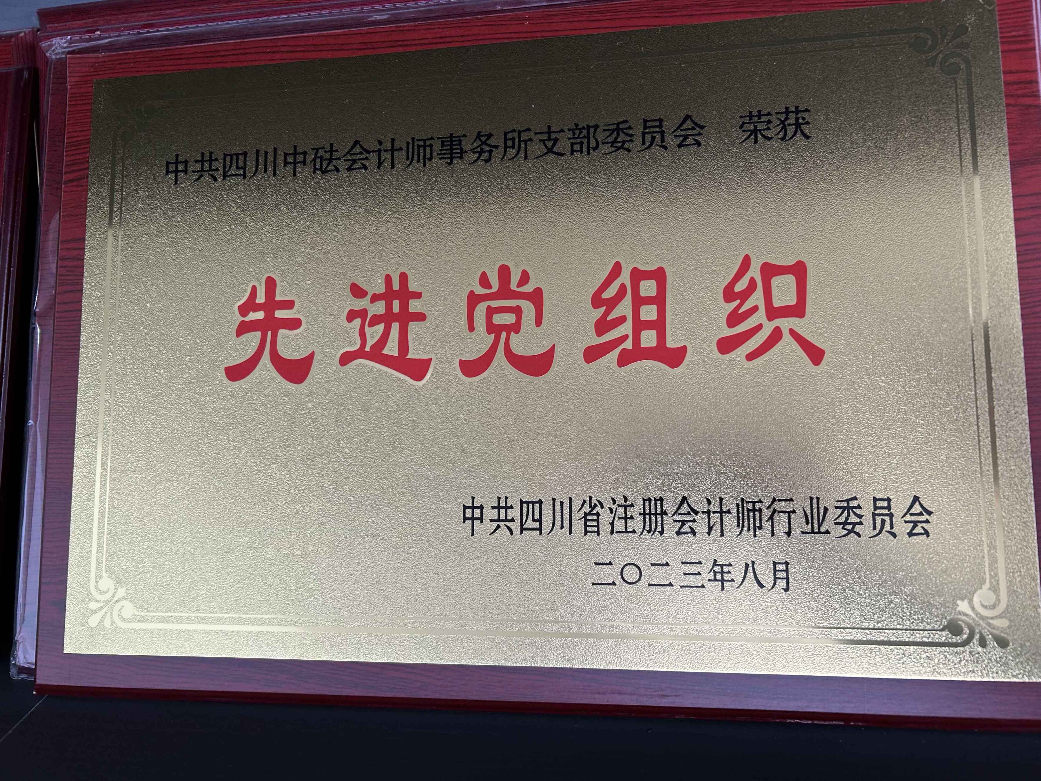 2023年先進(jìn)黨組織—中共四川省注冊會計師行業(yè)委員會